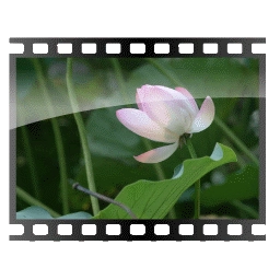 نماد نماد 52