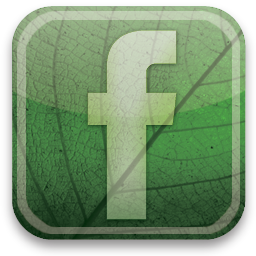 آیکون eco-green-facebook