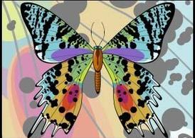 Sunset Moth Butterfly PSD