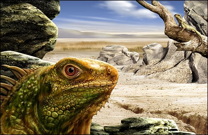 Psd Lizards Layered Material
