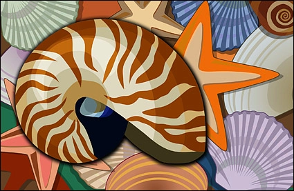 حلزون صدف، ستاره دریایی Psd مواد لایه لایه