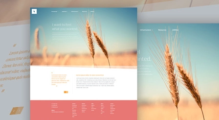 Organic - قالب PSD وب سایت رایگان