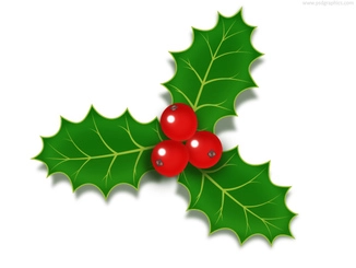 نماد توت هالی کریسمس (PSD)