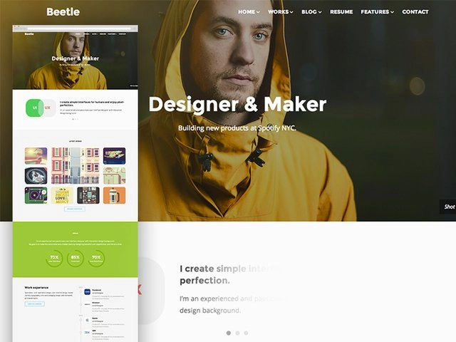 Beetle Resume Template PSD