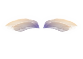 Wings PSD