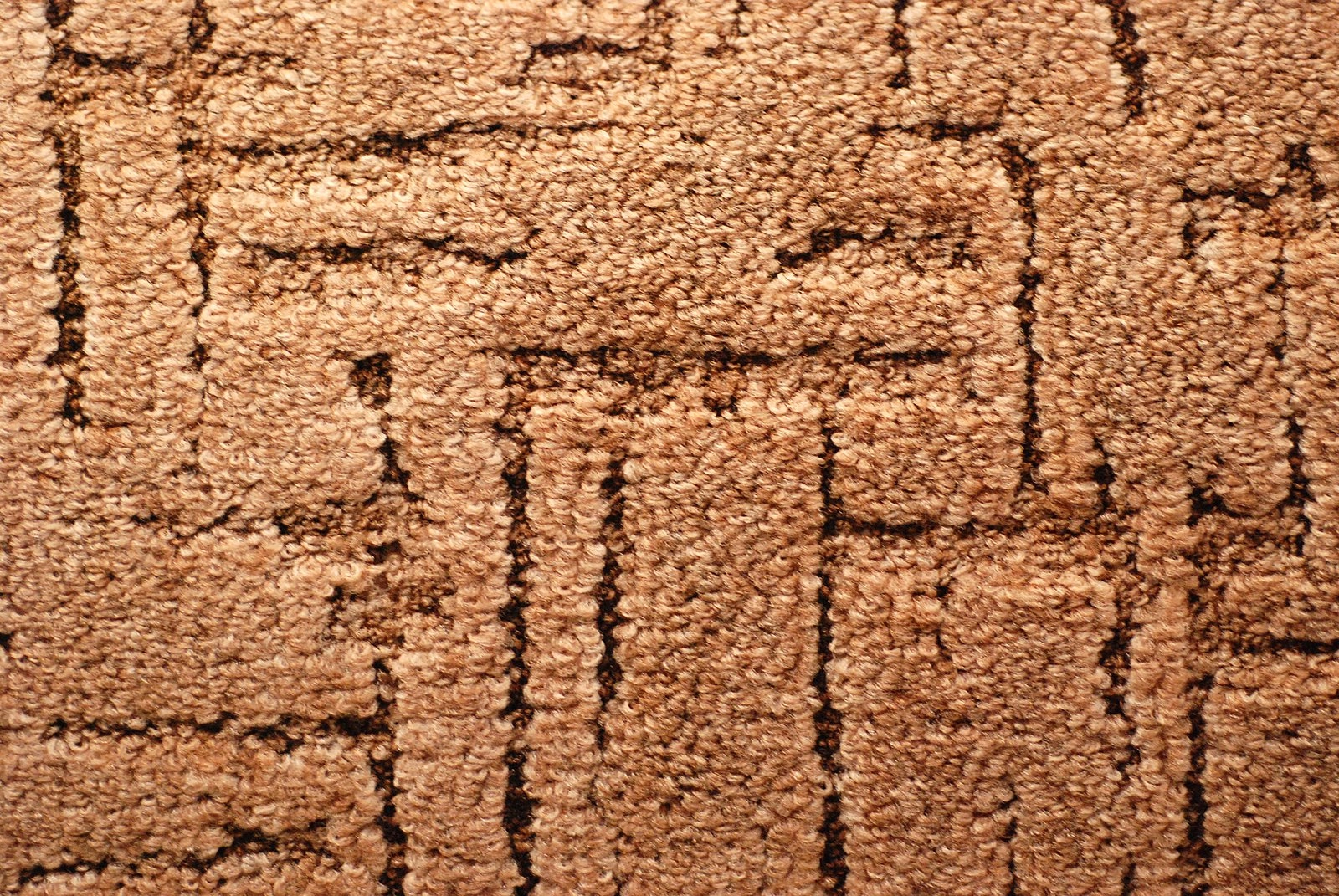 تخته اردک - عکس 1