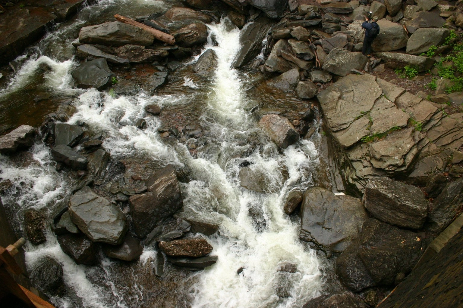 عکس سقوط