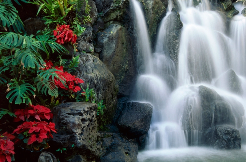عکس، آبشار صخره ای با گل و گیاه روییده در کنار، رنگی