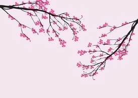 وکتور شکوفه گیلاس