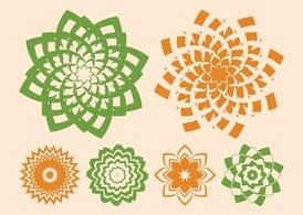 تصاویر شکوفه گل