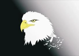 وکتور سر عقاب