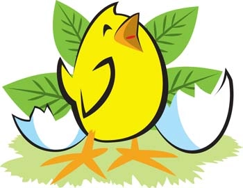 وکتور مرغ کوچولو 13