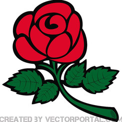 ROSE STOCK VECTOR GRAPHICS.eps