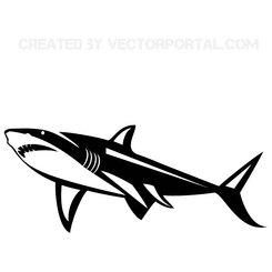 GRAPHICS VECTOR SHARK.eps
