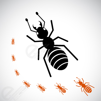 تصویر برداری از سیلوئت مورچه