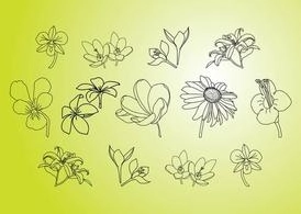 وکتور تصاویر گل