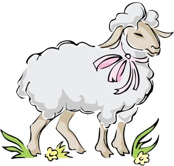 وکتور گوسفند 1