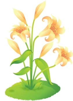 وکتور گل لیلی 7