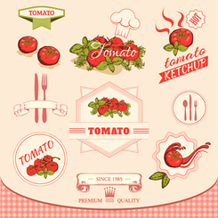 مجموعه وکتور عناصر گوجه فرنگی آشپز رستوران