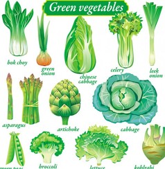 بسته وکتور 18 سبزیجات ظریف