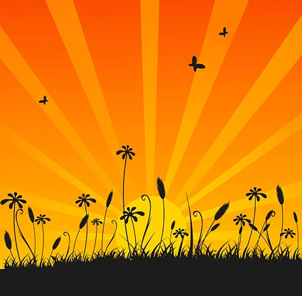 وکتور گرافیک زیبای غروب