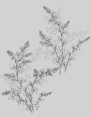 گرافیک وکتور خط ژاپنی گلهای گیاهی -17 (