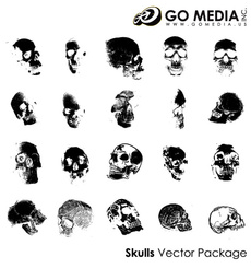 Go Media Vector Material Chupin - Human Skull