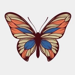 طراحی وکتور پروانه.ai