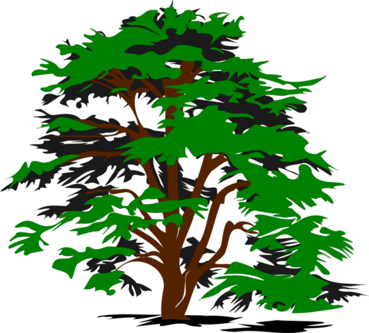 درخت وکتور ساده