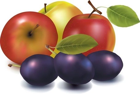 میوه وکتور واقعی