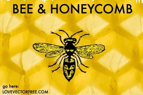 وکتور رایگان زنبور عسل و لانه زنبوری