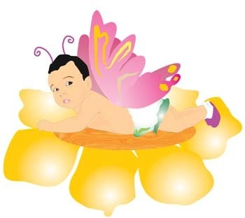 وکتور پروانه 16