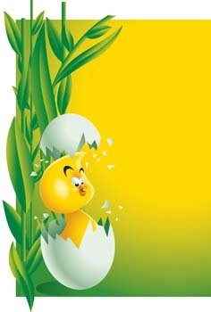 وکتور مرغ کوچولو 12