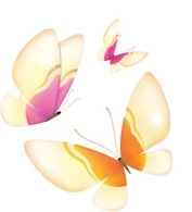 وکتور پروانه 29