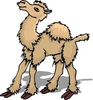 وکتور شتر 5