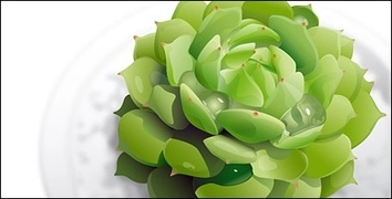 وکتور مواد سبز