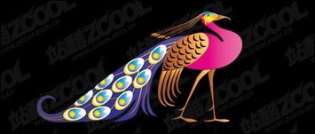 مطالب وکتور طاووس زیبا