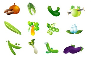 وکتور سبزیجات - کلم، سیب زمینی شیرین، بادمجان و لوبیا تربچه