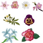 مجموعه گل های وکتور