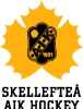 لوگوی وکتور Skelleftea